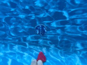 Hamilton-OH-pool-inspections-pool-leak-repair-pool-safety-covers-in-Cincinnati-5645