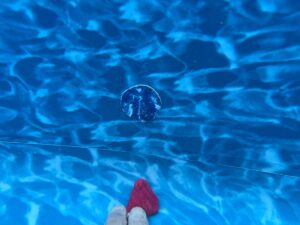 affordable-pool-leak-repair-in-hamilton-oh-with-warranty-scaled