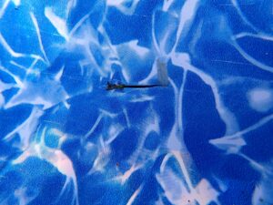 affordable-pool-repair-inspection-in-mount-orab-oh-free-consultation-scaled