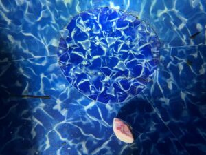 expert-pool-inspections-and-leak-repairs-in-west-harrison-in-by-cincinnati-pool-divers-scaled