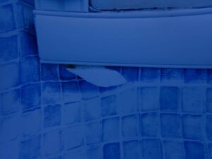 expert-pool-leak-repair-inspections-in-cincinnati-oh-call-now-scaled