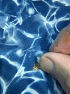 expert-pool-leak-repair-inspections-in-mason-oh-cincinnati-pool-divers-scaled